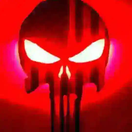 Punisher Briefings