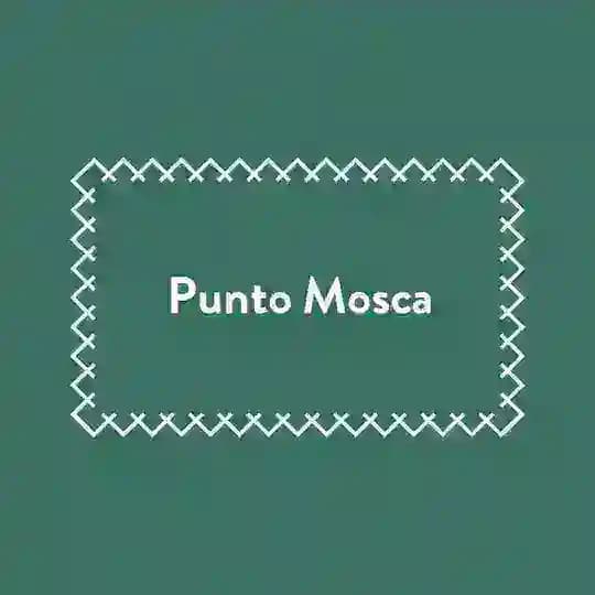 PuntoMosca
