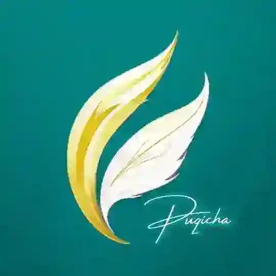 Puqicha💛