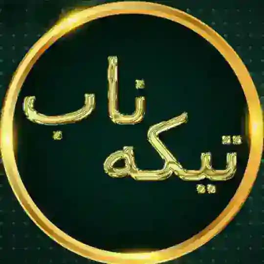 تیکه های ناب Profile