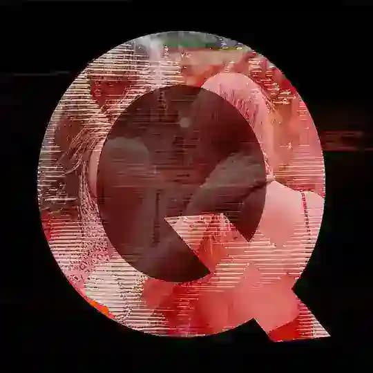 QAnon CONFLICT