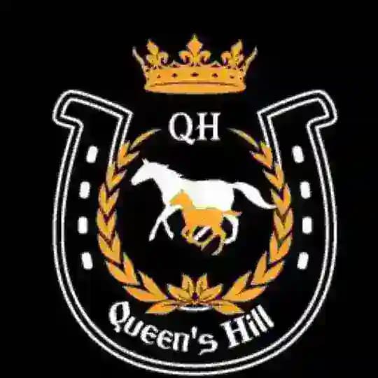 Queen’s Hill Stables