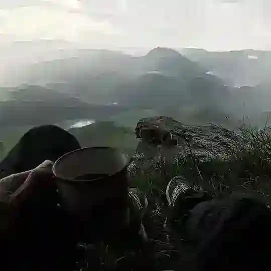 سورس ماثيو ( مغلق )