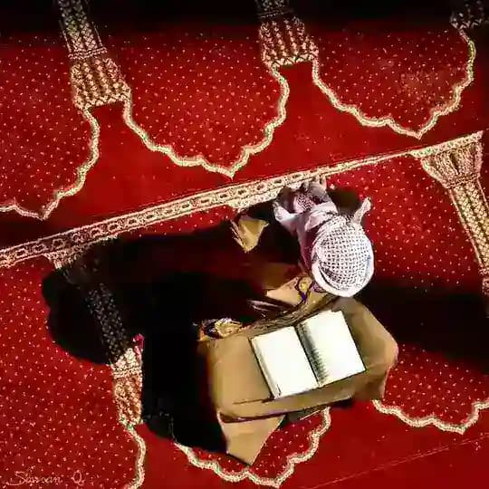 صوتيات قرآنية | 🎧. Profile