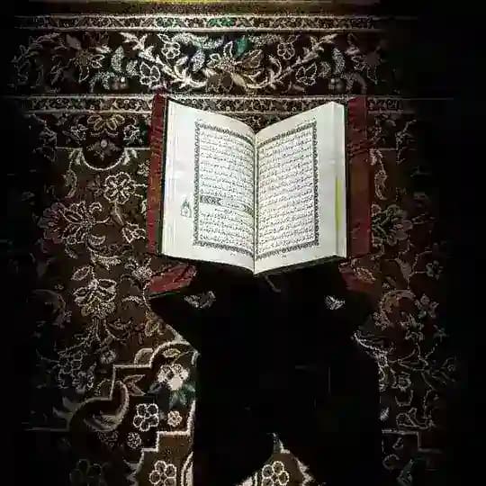 القرآن الكريم 📖
