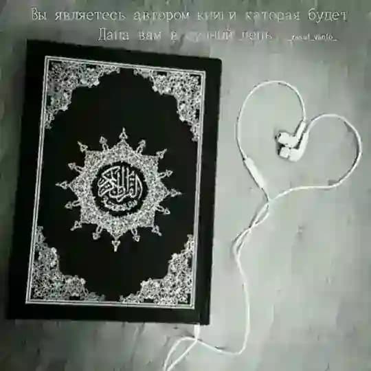 Все суры Корана и Хадисы