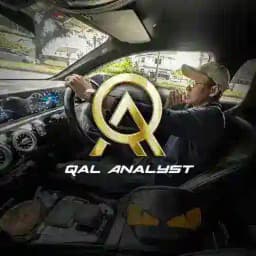 QAL ANALYST🥇 Profile