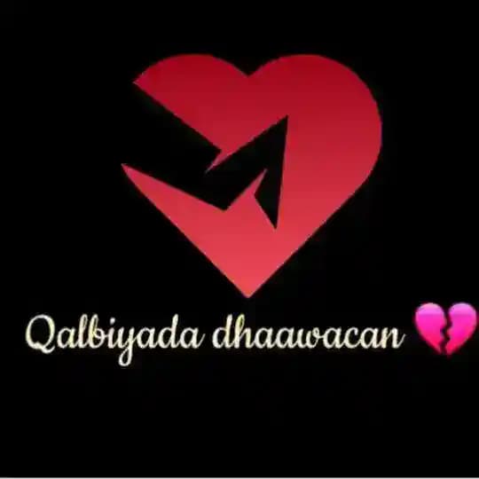 💔 Qalbiyada Dhaawacan 💔