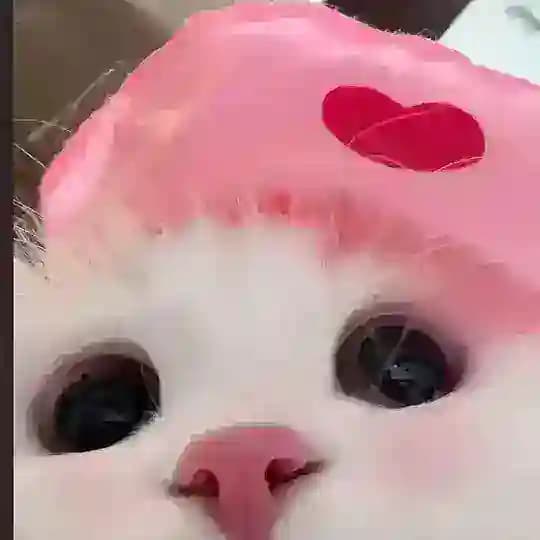 琪了个琪