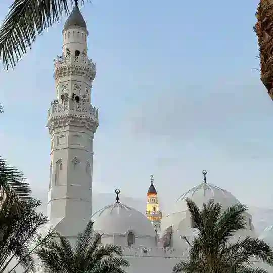 نورًا أَضَاءَ