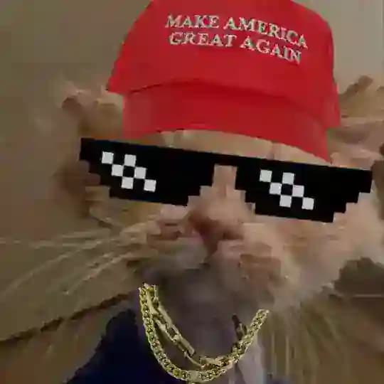 KELLY ‘ROBERT’ QTTURD