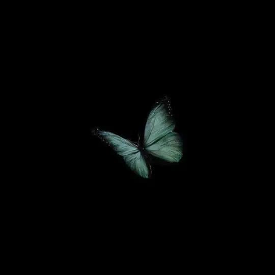 ' Vᥲᥒıᴛy ' ‌