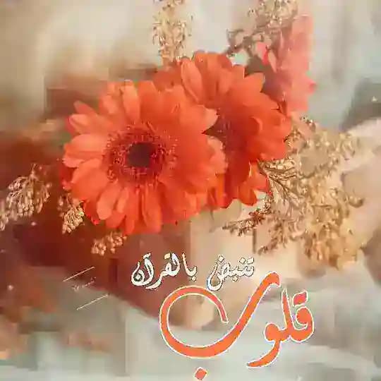 قُلُوبٌ تَنبِضُ بِالْقُرْآنِ