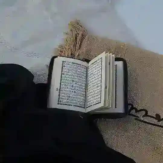 - تَغذية رُوحية | قُرآن 📻🌿..