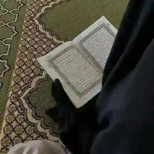 فِي،رِحَاب،القـُرآن.