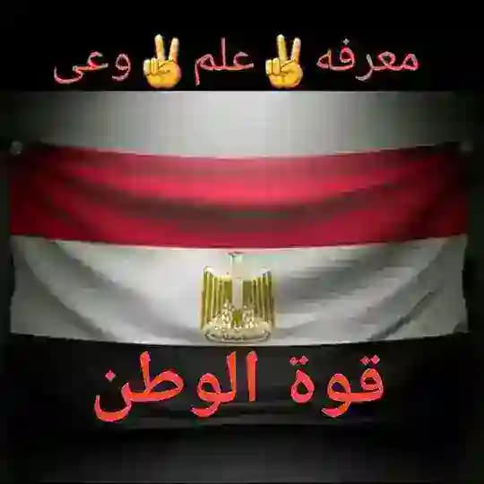 🇪🇬✌️💪🦅🇪🇬 قوة الوطن