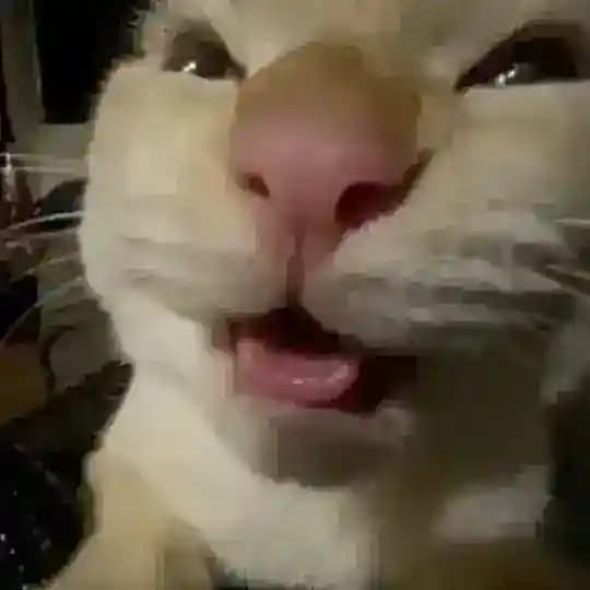 W1NDY