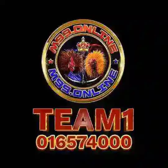 1- M99TEAM1មាន់ជល់សុទ្ធ