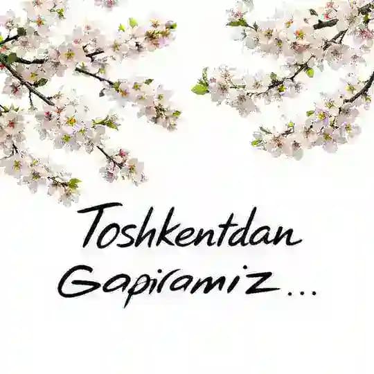 Toshkentdan gapiramiz...