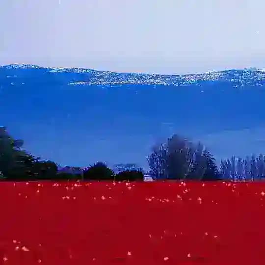 Россия Молодая