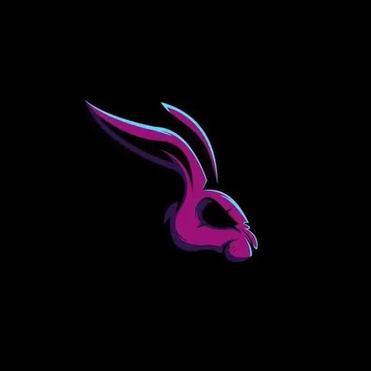 Rabbit X 18Plus