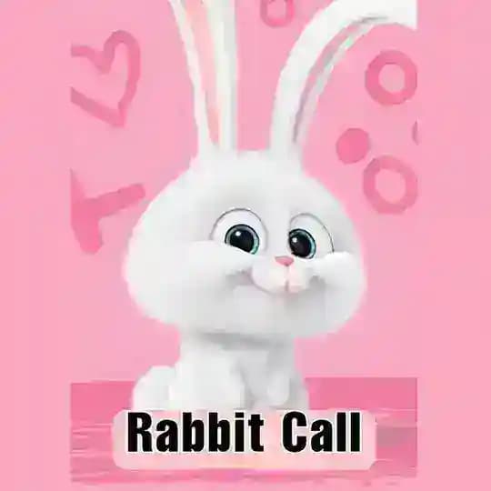 🐰RABBIT CALLS🐰