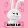 🐰RABBIT CALLS🐰