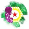 Ragihandina Jinên Ciwan