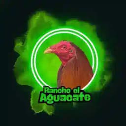 🥑 RANCHO EL AGUACATE 🥑 Profile