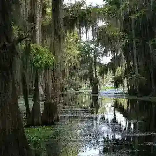 Rawa Rawa