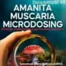 Amanita Muscaria recenzje mikrodozowania🇵🇱