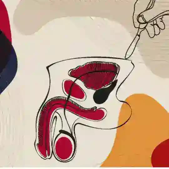 Andrology and reconstructive urology