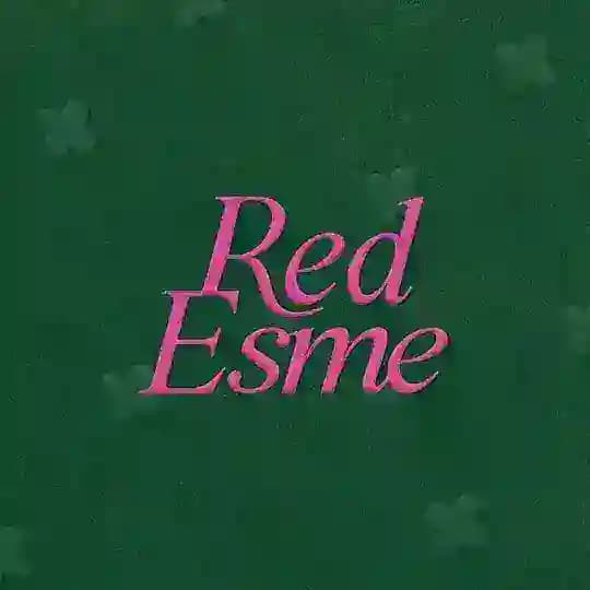 𝐶𝑜𝑛𝑠𝑢𝑙𝑡𝑖𝑛𝑔 𝑏𝑦 𝑅𝑒𝑑 𝐸𝑠𝑚𝑒.