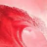 Red Wave Q 🇺🇸