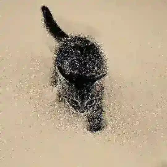 مشاعري 🫀