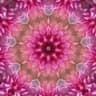 Reiki Master London