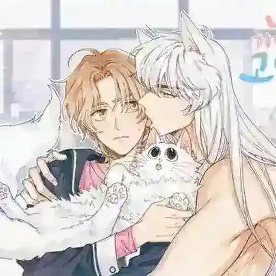 My One and Only Cat 🖤 & Re-season🖤