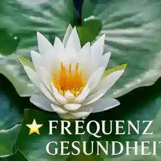 Gesund💥Natürlich💥Rezeptfrei💥💥💥💥💥