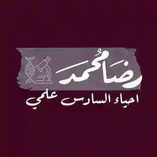 رضا محمد / احياء السادس علمي