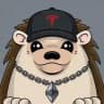 Rizo 🦔 | Official mascot of Tesla
