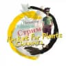 Rocket for Plants CO2