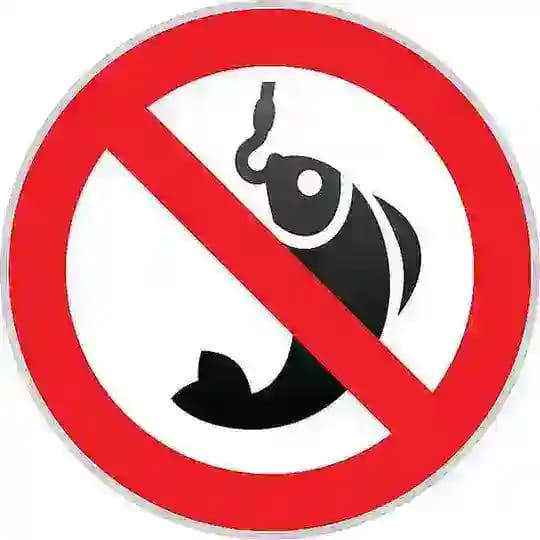 浪漫诱饵🚫