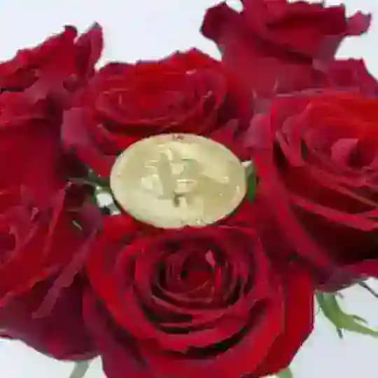Rose Crypto Trading Signals🌹