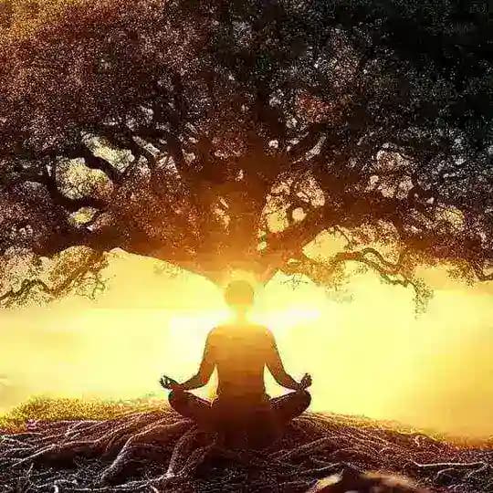 سکوت ذهن Royal silencemind