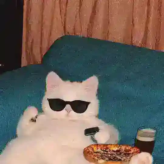 أشطر كتكوت🤩🎀. Profile