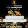 SCF CHAIN (FINTOCH)