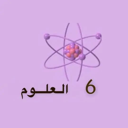 ملفات العلوم الصف السادس