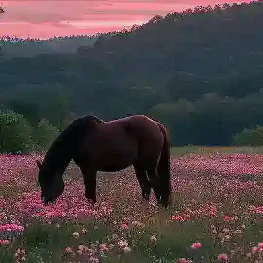سنيوريتا 🦋🤍