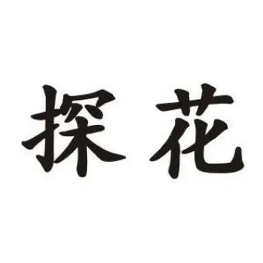 上海探花楼老师榜