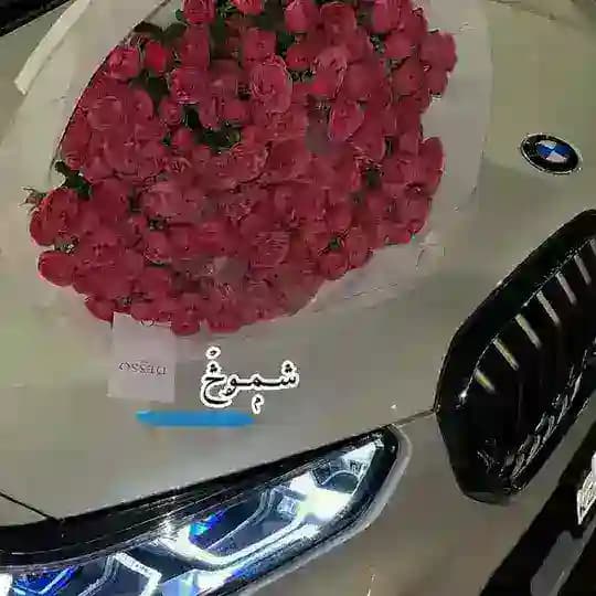 شــمۭــۄڅۡ 🇱🇾 Profile